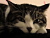View full size picture