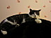View full size picture