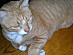 View full size picture