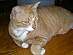 View full size picture