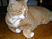 View full size picture
