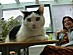 View full size picture