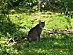 View full size picture