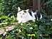 View full size picture