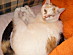 View full size picture