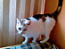 View full size picture