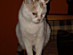 View full size picture