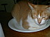 View full size picture