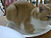 View full size picture