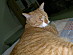 View full size picture