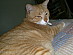 View full size picture