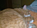 View full size picture