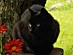 View full size picture