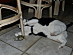 View full size picture