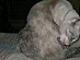 View full size picture