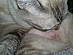 View full size picture