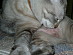 View full size picture