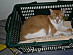 View full size picture