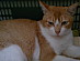 View full size picture