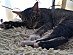 View full size picture