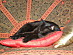 View full size picture
