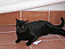 View full size picture