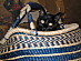 View full size picture