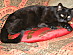 View full size picture