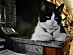 View full size picture