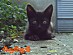View full size picture
