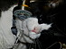 View full size picture