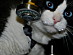 View full size picture