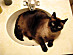 View full size picture