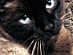 View full size picture