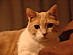 View full size picture