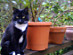 View full size picture