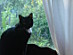 View full size picture