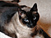 View full size picture