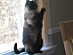 View full size picture