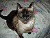 View full size picture