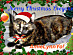View full size picture