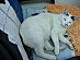 View full size picture