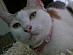 View full size picture
