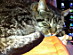 View full size picture
