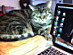 View full size picture