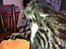 View full size picture