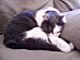 View full size picture