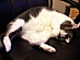 View full size picture