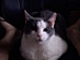 View full size picture