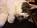 View full size picture